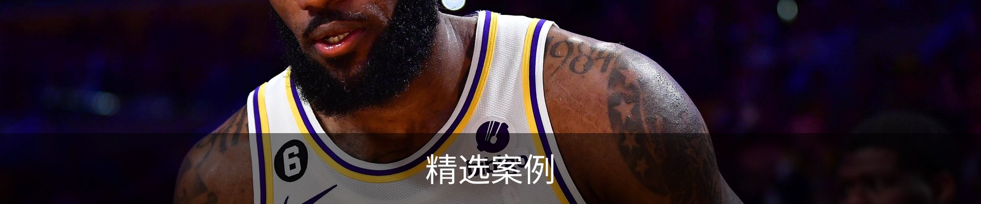 精选案例